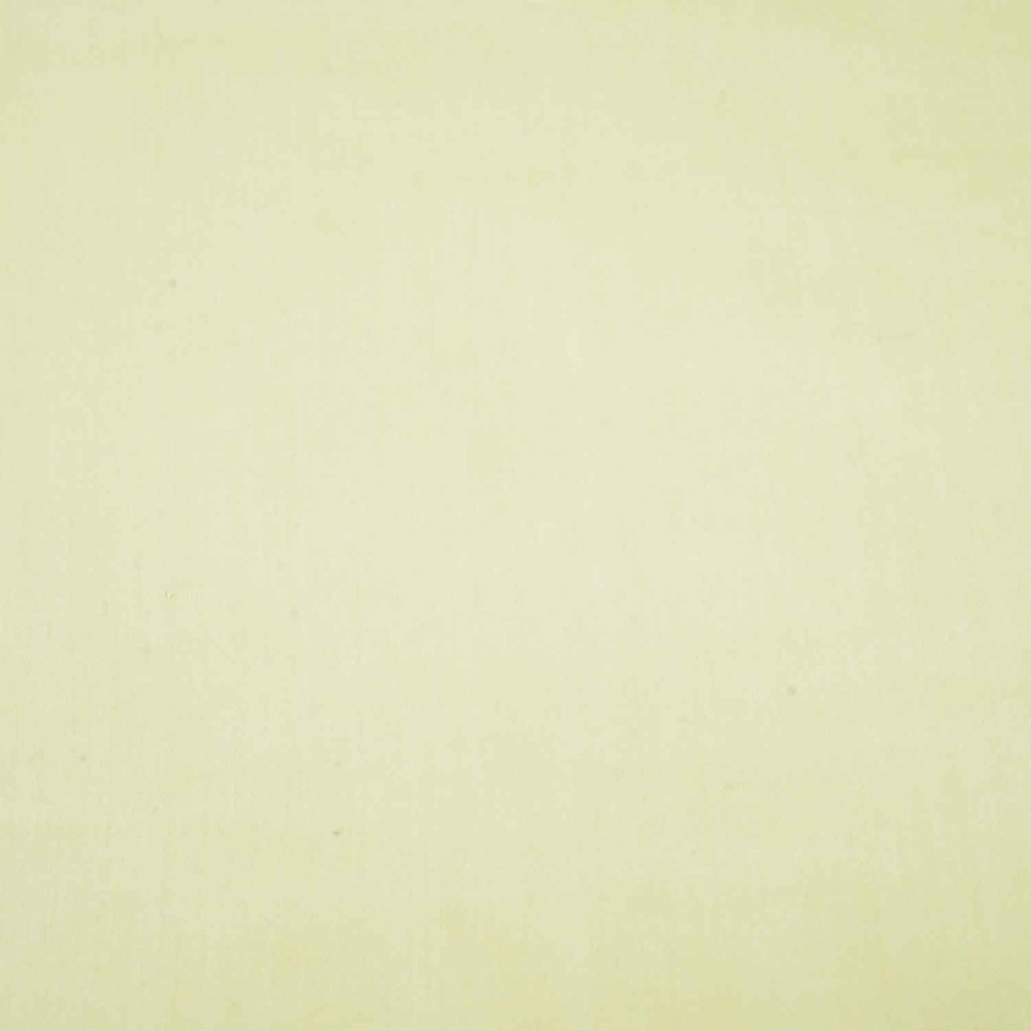 Latte Cream Solid Cotton Satin MSMR-11244