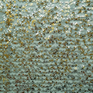 Black With Gold & Silver Sequence Embroidery Net Fabric