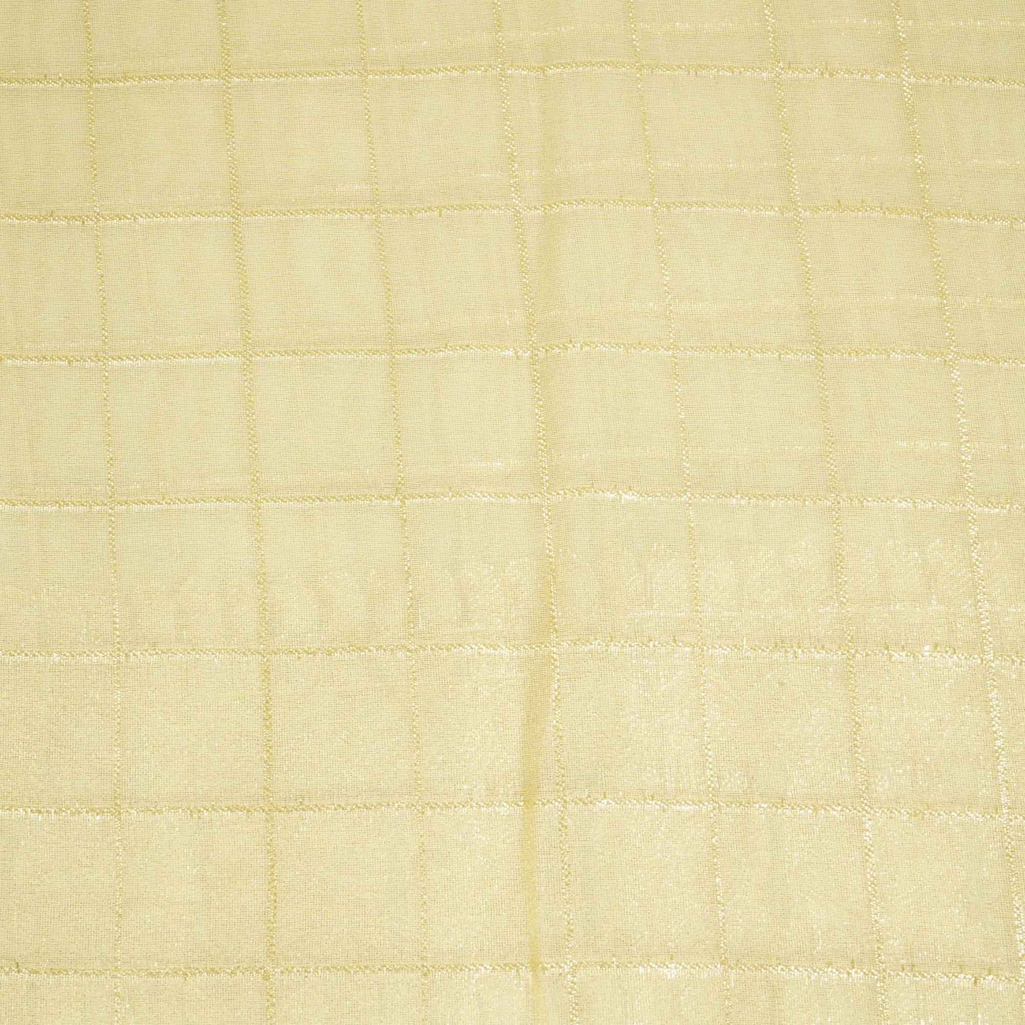 Gold Zari Check Border Work Tissue Organza DF-15706