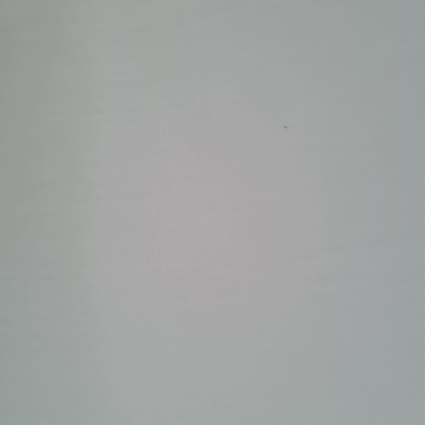 White Solid Premium Zupi Suiting Fabric 17963