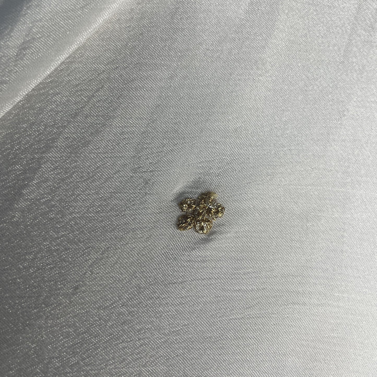 White Zari Embroidery Chinnon Chiffon Dyeable Fabric 19925