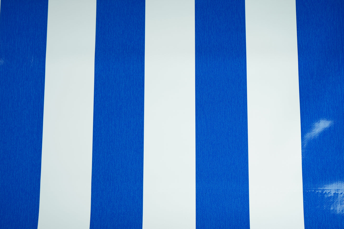 CTF 550 GSM single side Stripe Glossy Blue & White