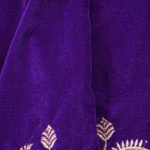 Royal Blue Border Work Cutdana Velvet 9000 Fabric SC-28250 - TradeUNO