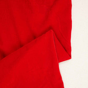 Red Border Work Cutdana Velvet 9000 Fabric SC-28251 - TradeUNO