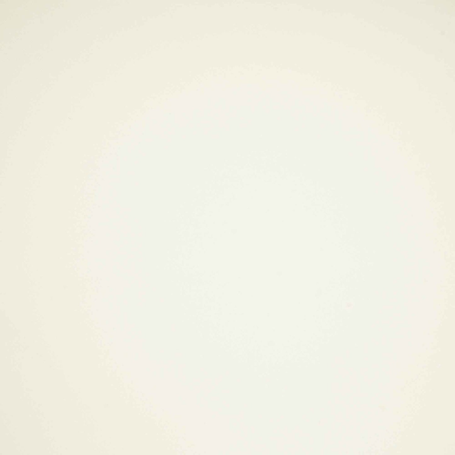 White Solid Japanese Suiting Fabric 42811 BE-25484