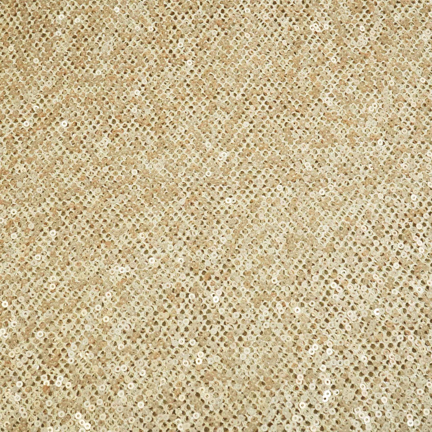 Beige Net Lycra Sequence Net Lycra LFP-27194