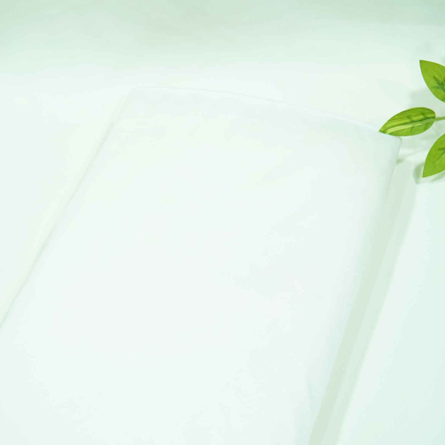 White Solid Silk Taffeta OE-9969