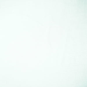 White Solid Dyeable Raw Silk Fabric