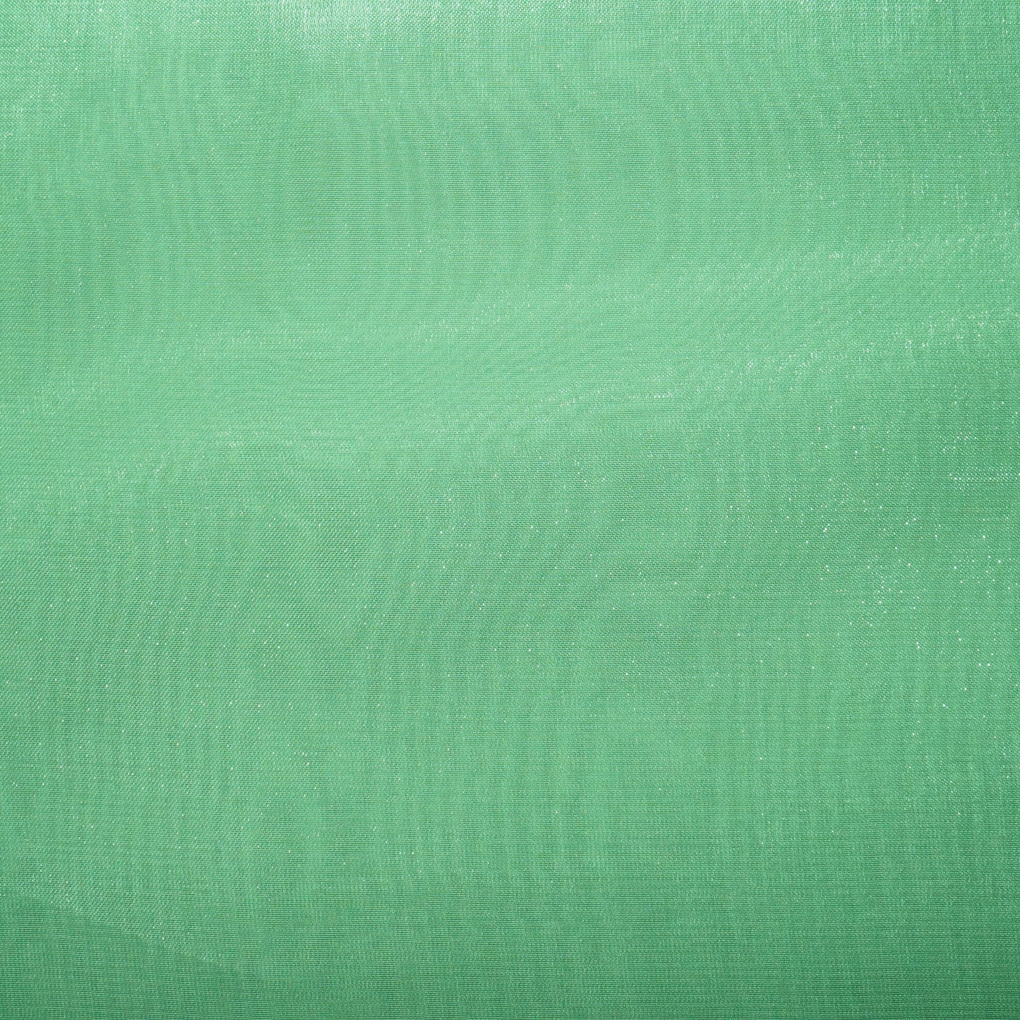 Mint Green Solid Jimmy Choo Organza Fabric 21951
