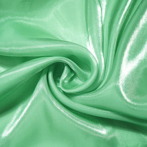 Mint Green Solid Jimmy Choo Organza Fabric 21951