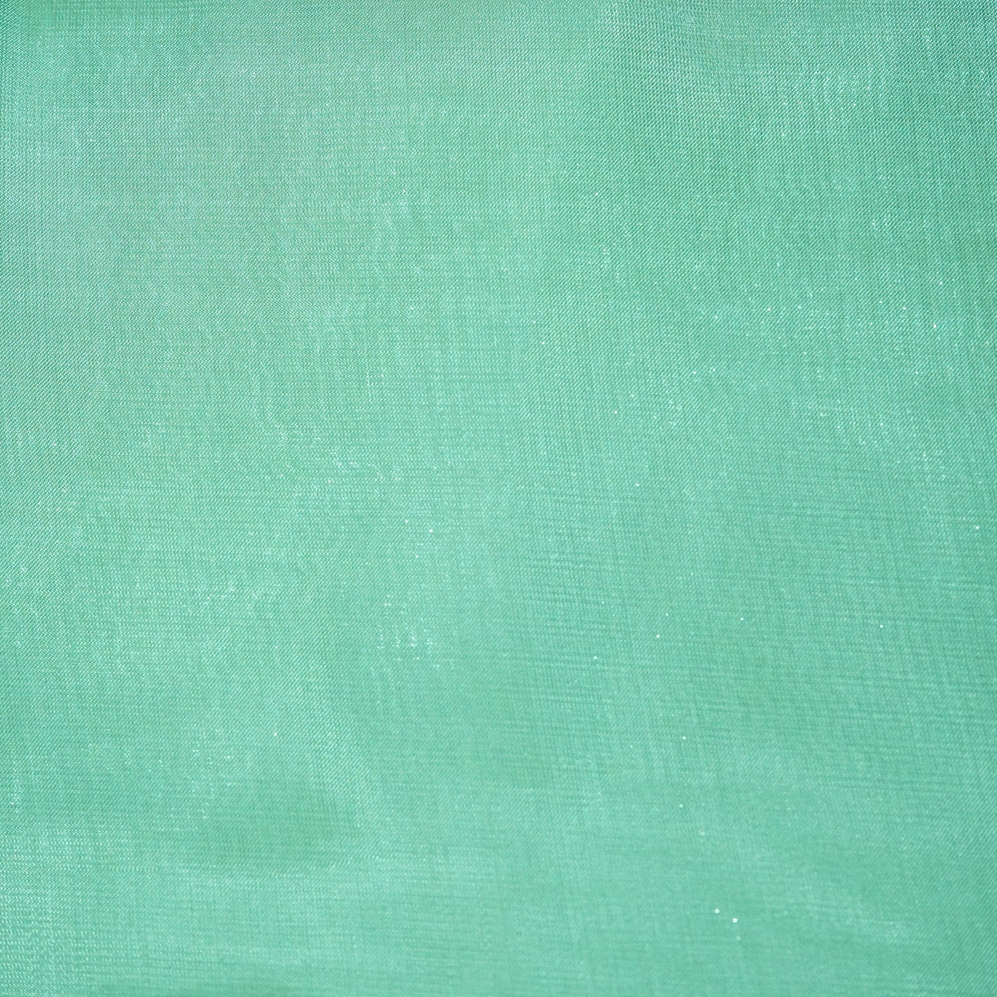 Sea Green Solid Jimmy Choo Organza Fabric 21960