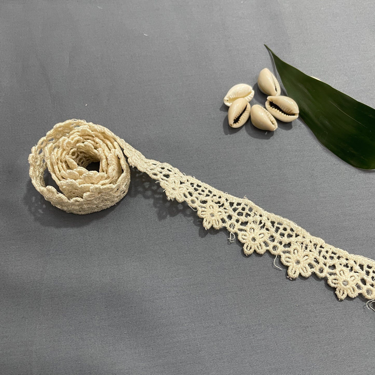 Cream Dyeable Cotton Lace - TradeUNO