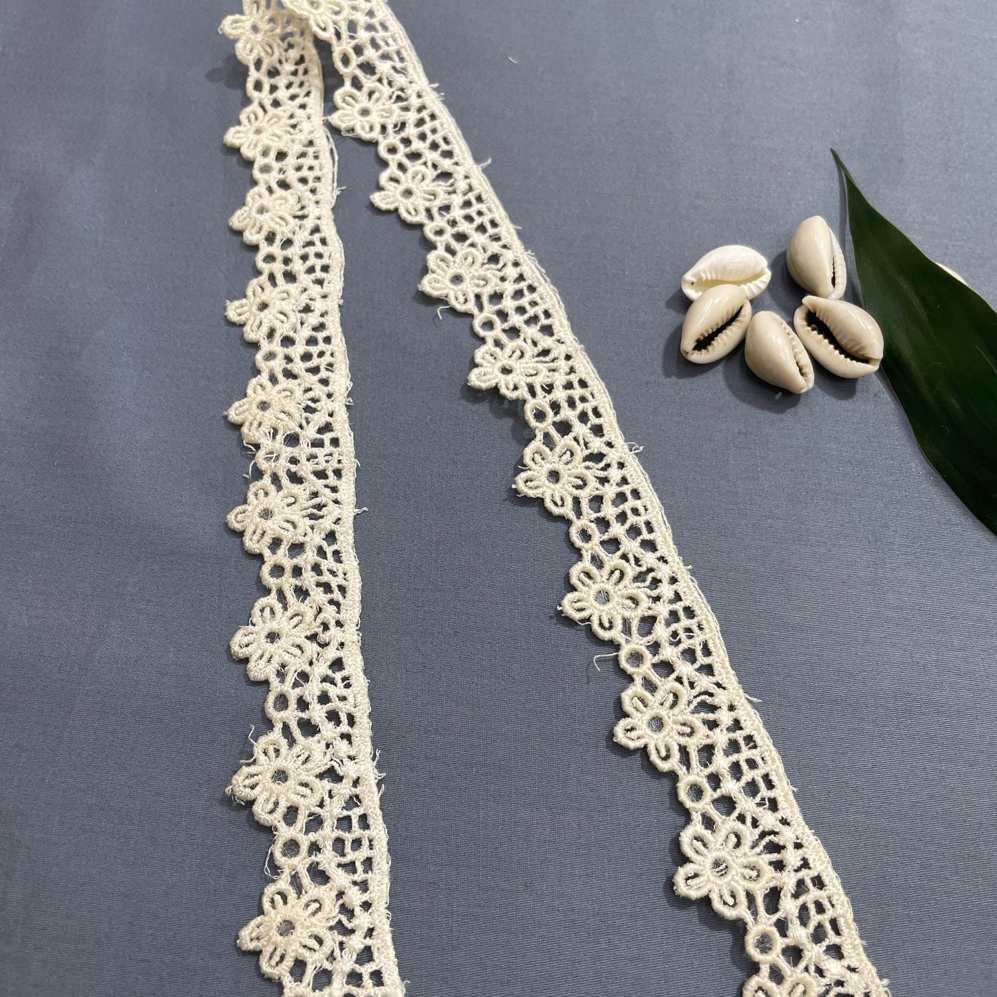 Cream Dyeable Cotton Lace - TradeUNO