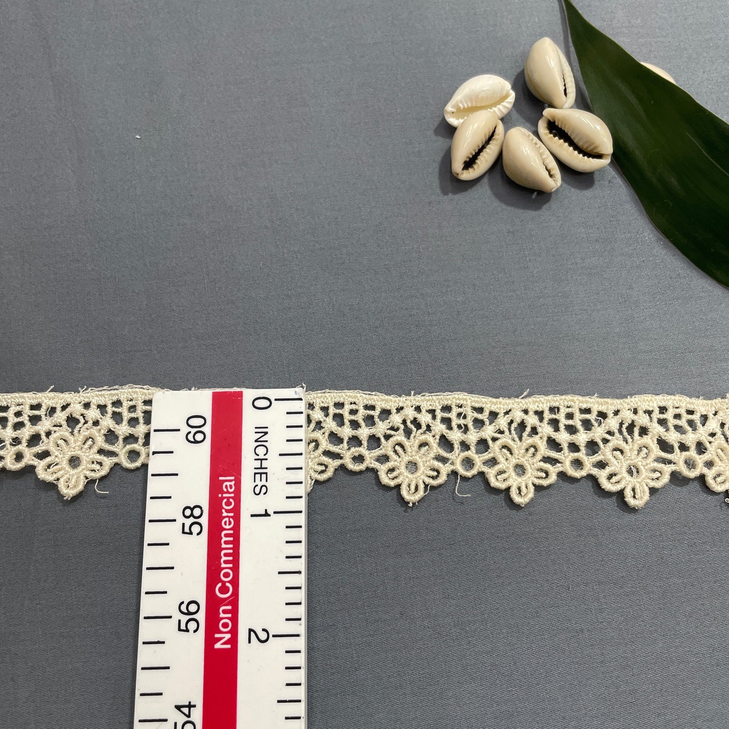 Cream Dyeable Cotton Lace - TradeUNO