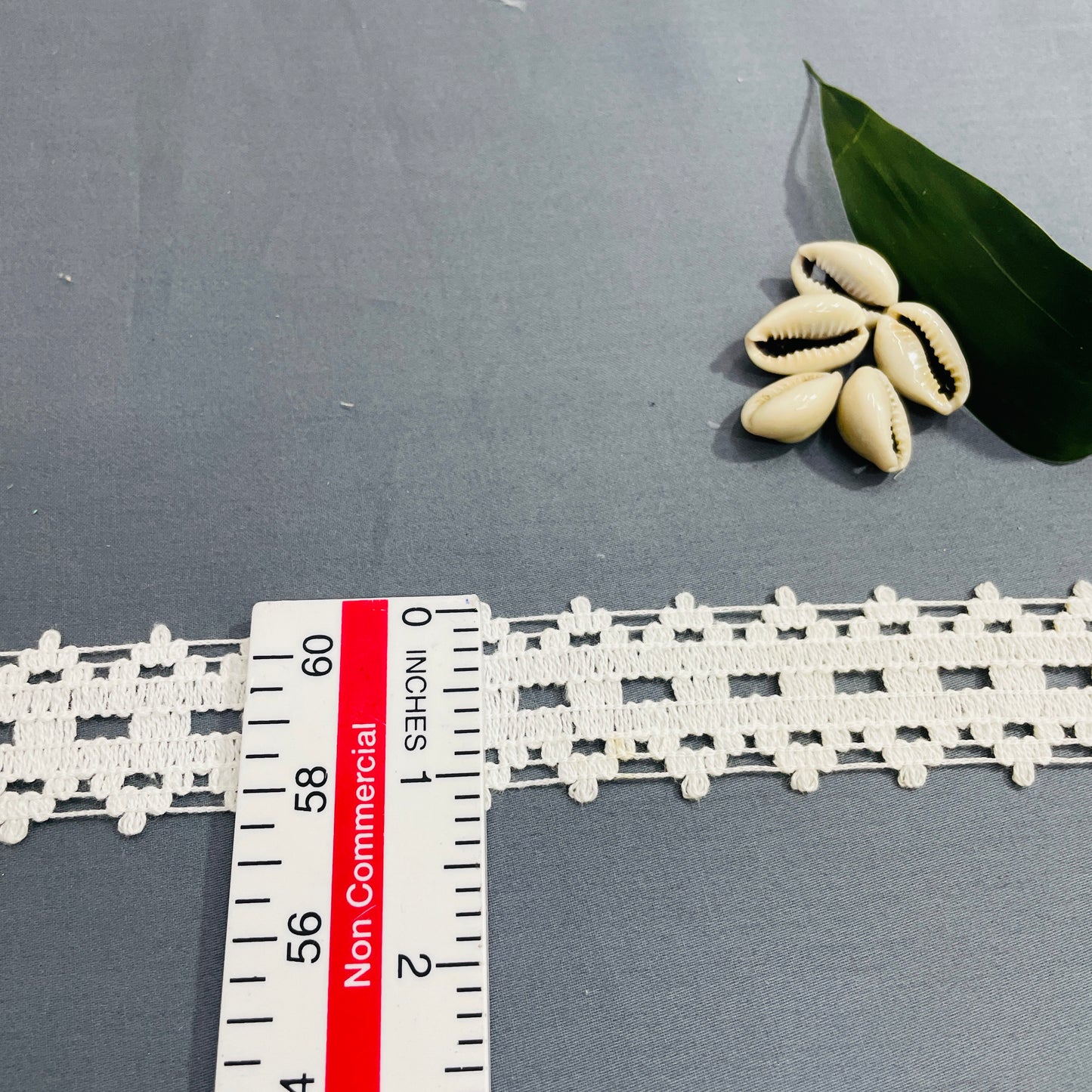 Off White Cotton Lace - TradeUNO