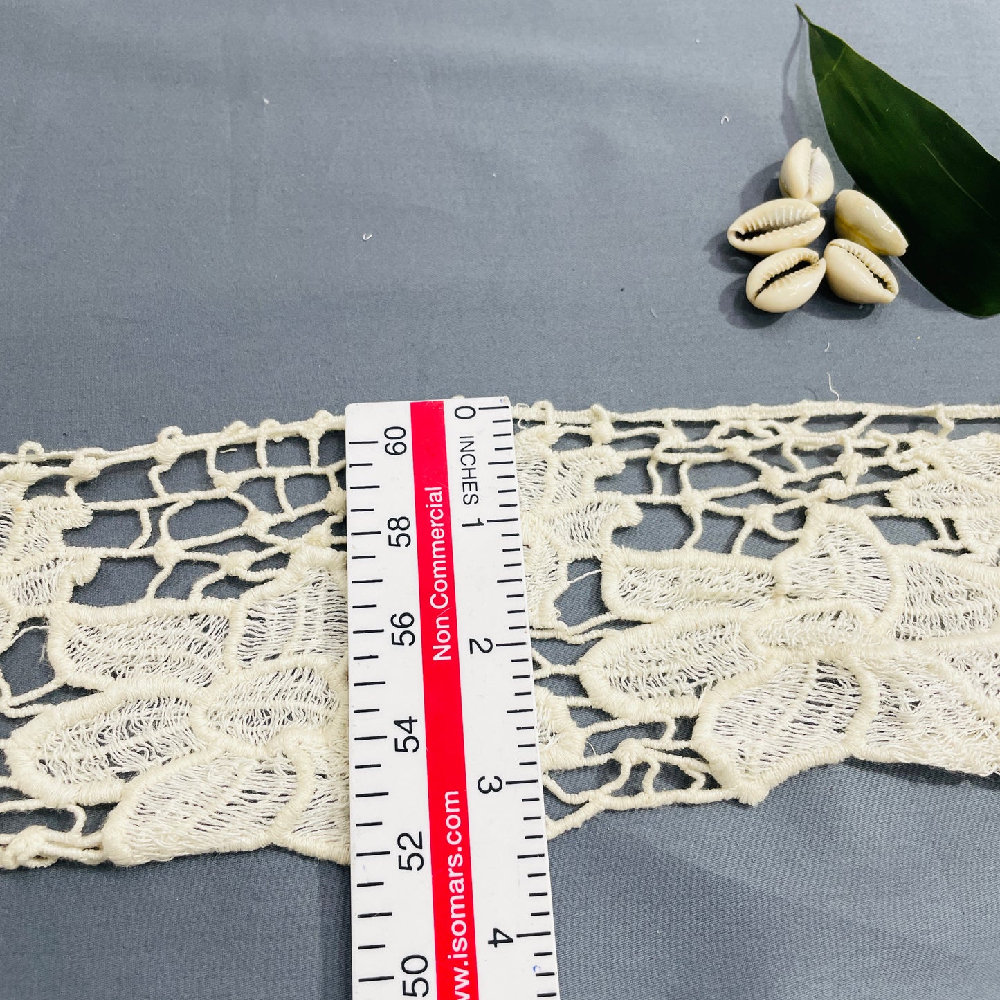Cream Dyeable Cotton Lace - TradeUNO