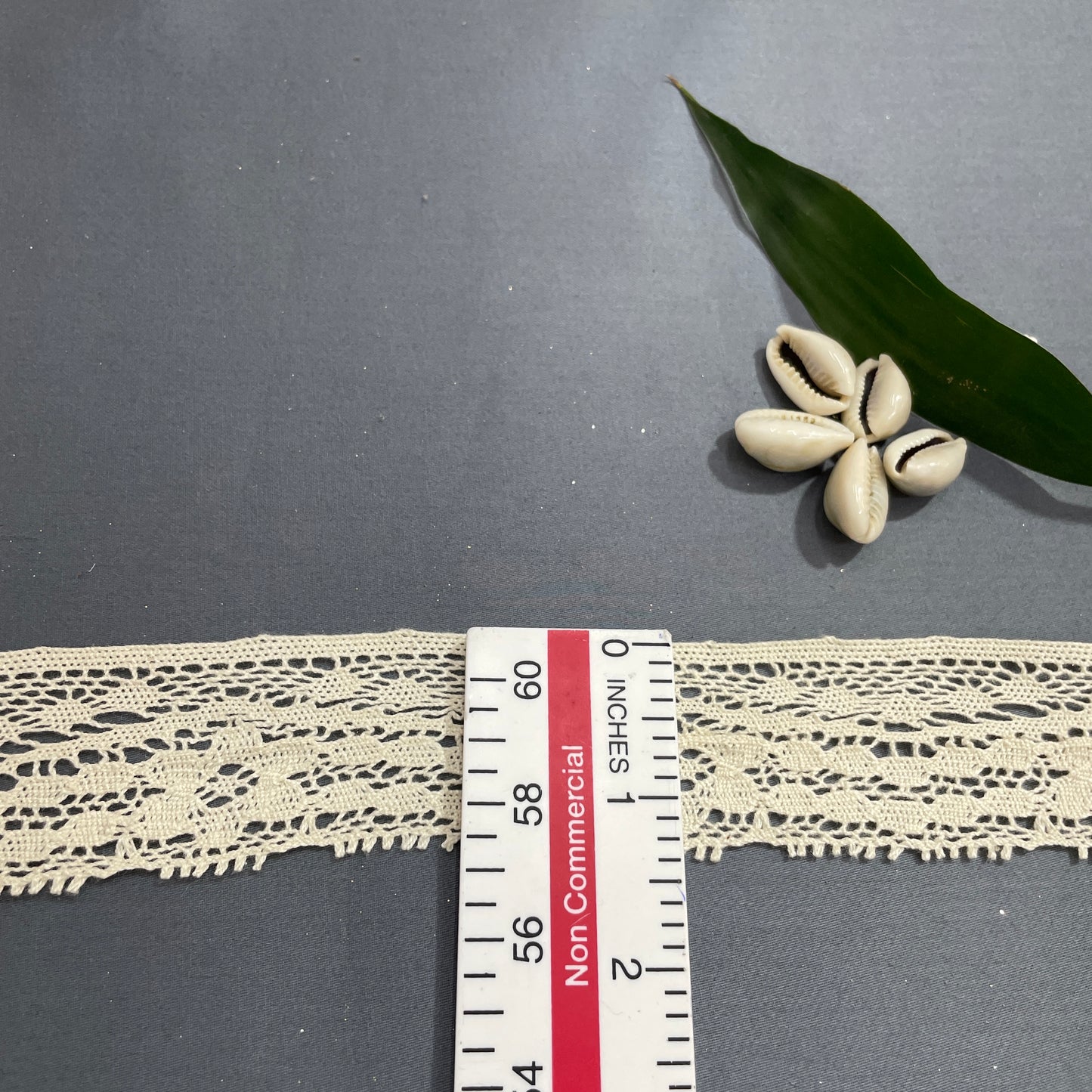 Off Cream Dyeable Cotton Lace - TradeUNO