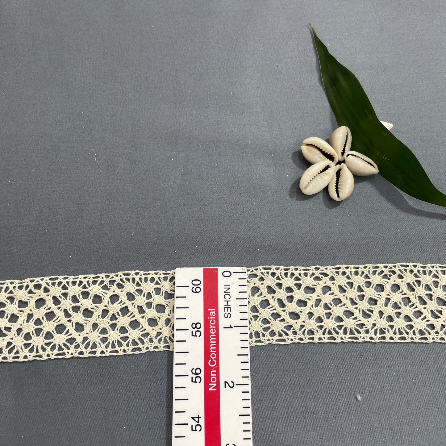 Off Cream Dyeable Cotton Lace