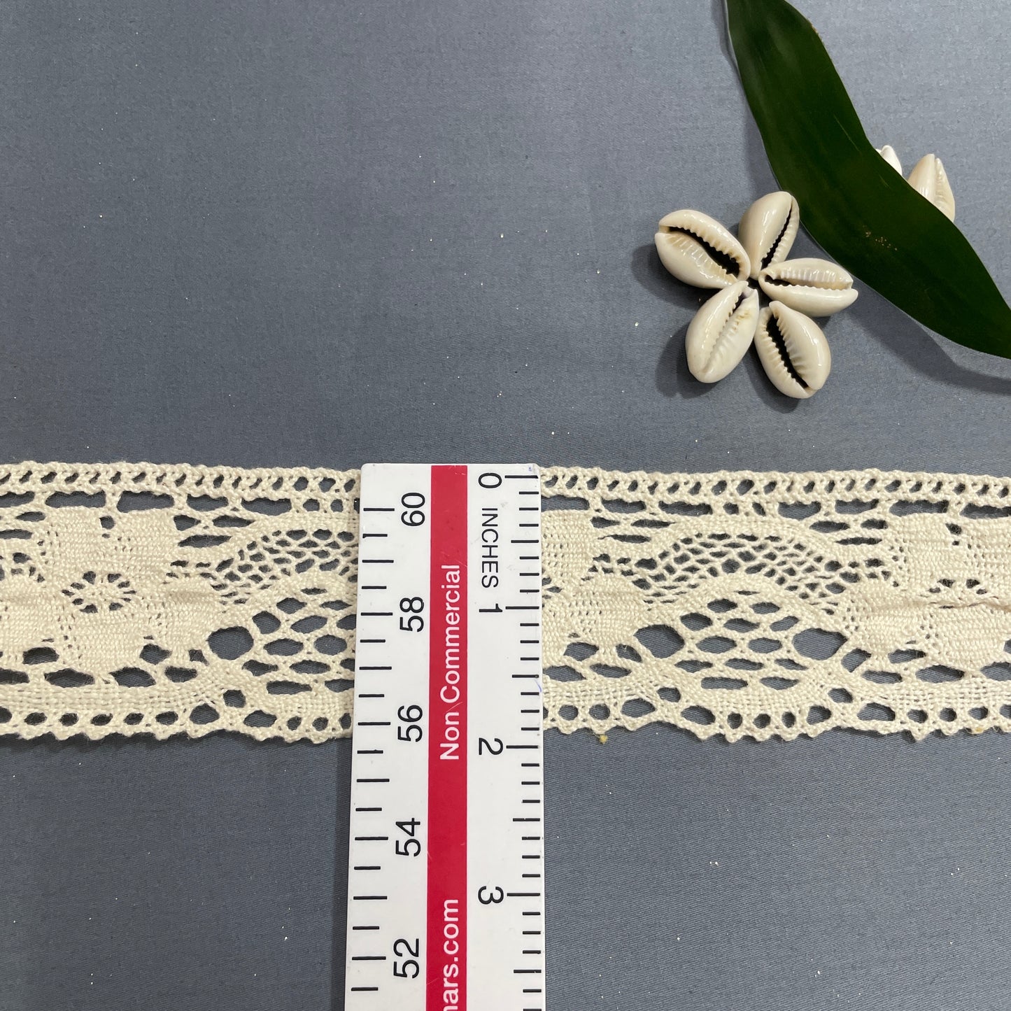 Off Cream Dyeable Cotton Lace - TradeUNO