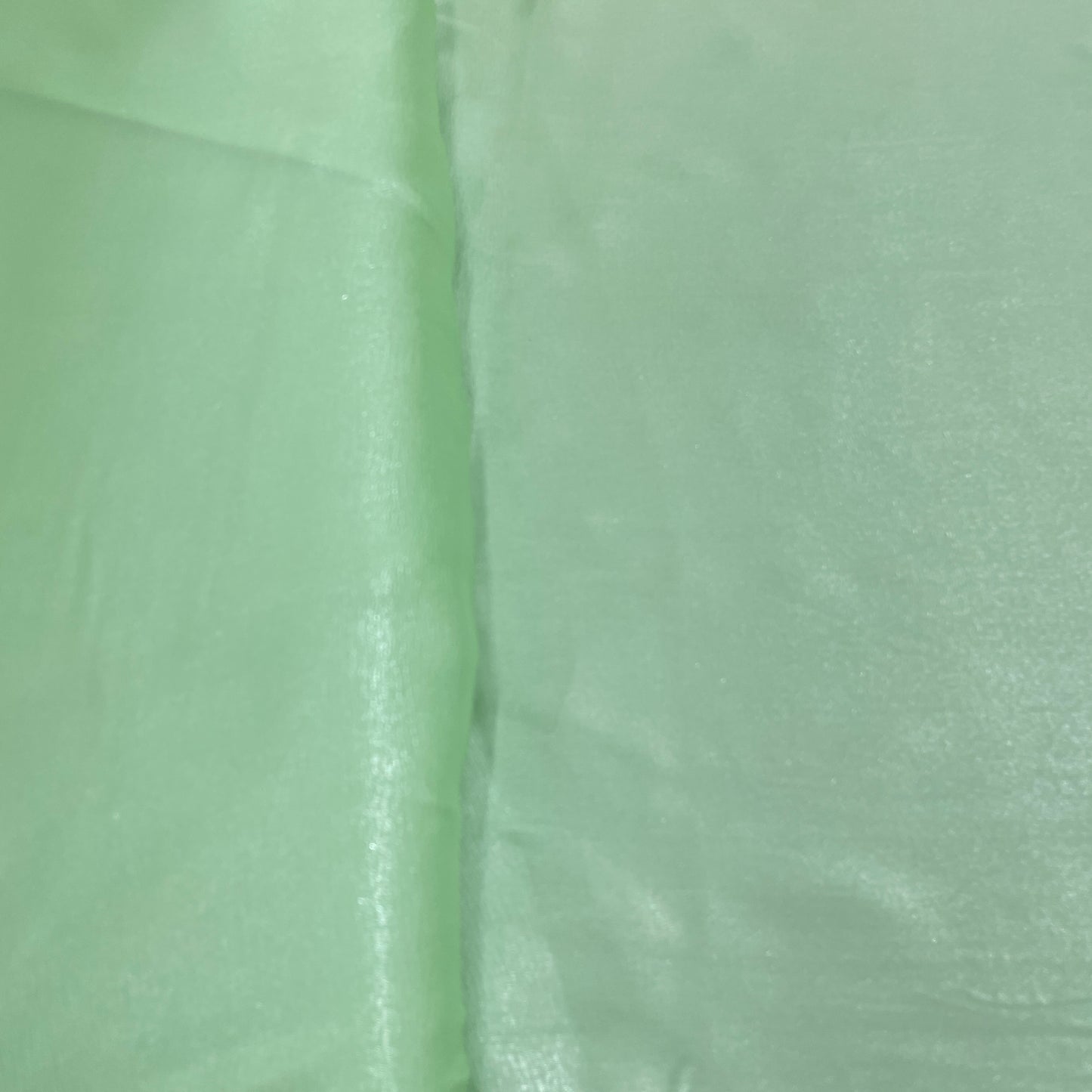 Mint Green Solid Silver Shimmer Georgrette Satin - TradeUNO