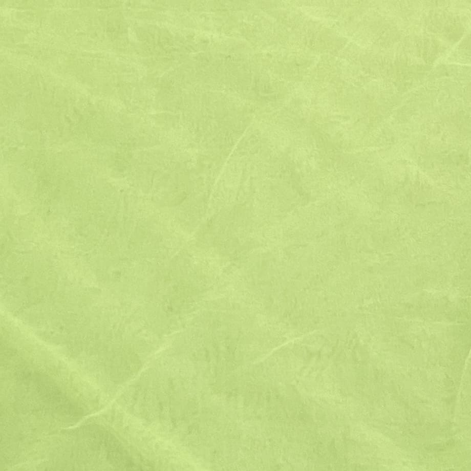 Classic Pear Green Solid Net Fabric