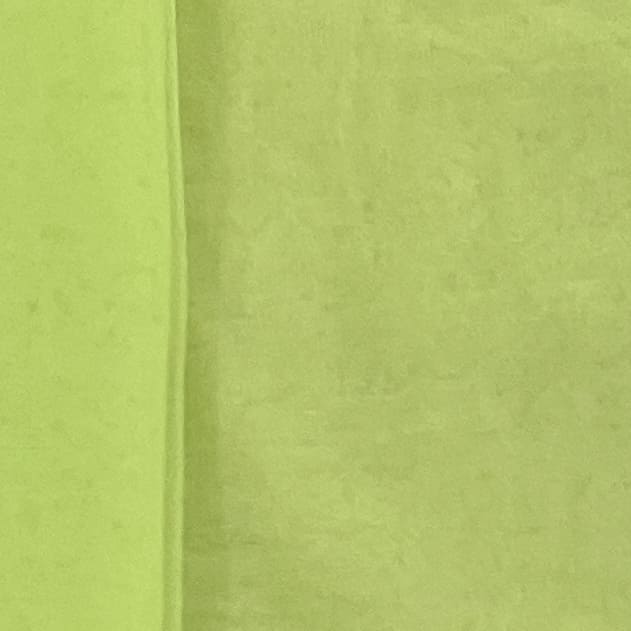 Classic Pear Green Solid Net Fabric