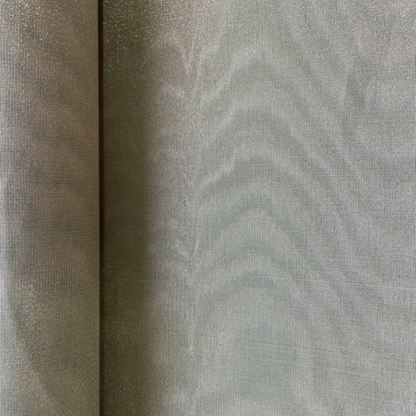 Mint Green Solid Plain Tissue Fabric 19678