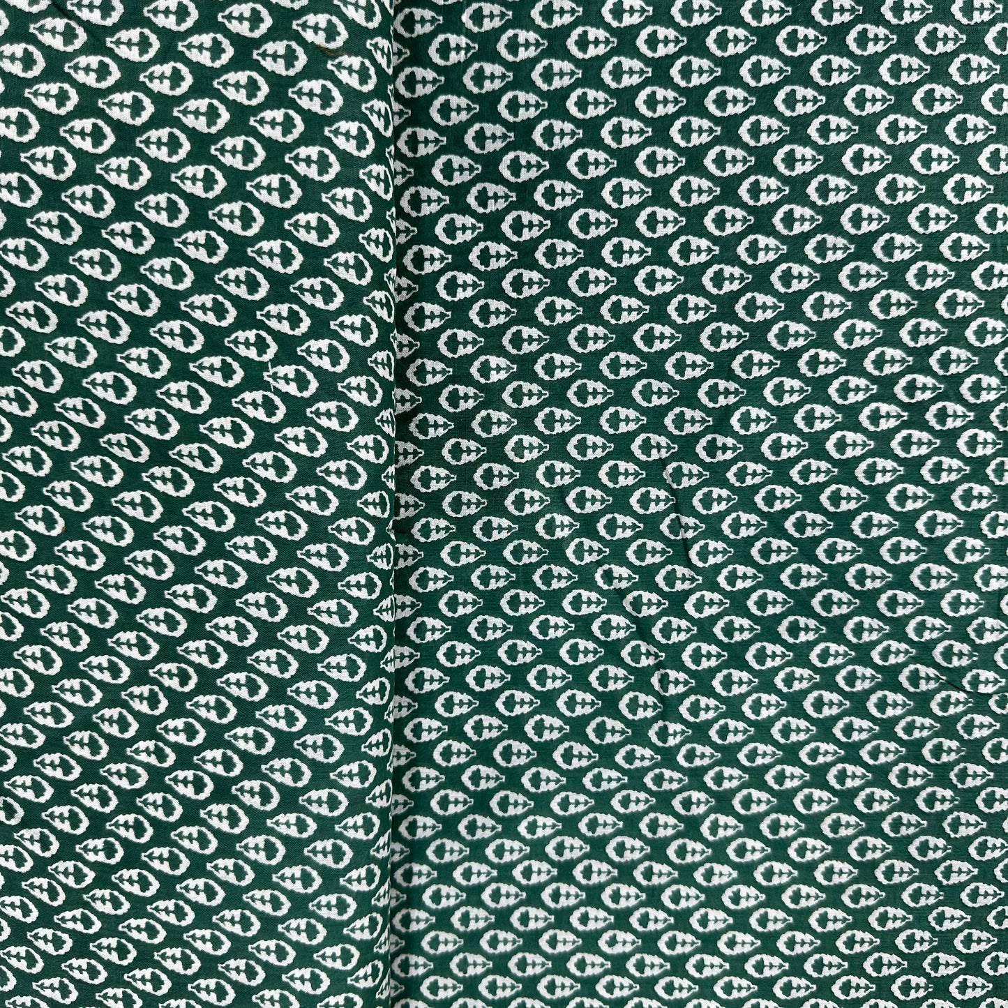 Green Bagru Print Cotton Fabric 24238