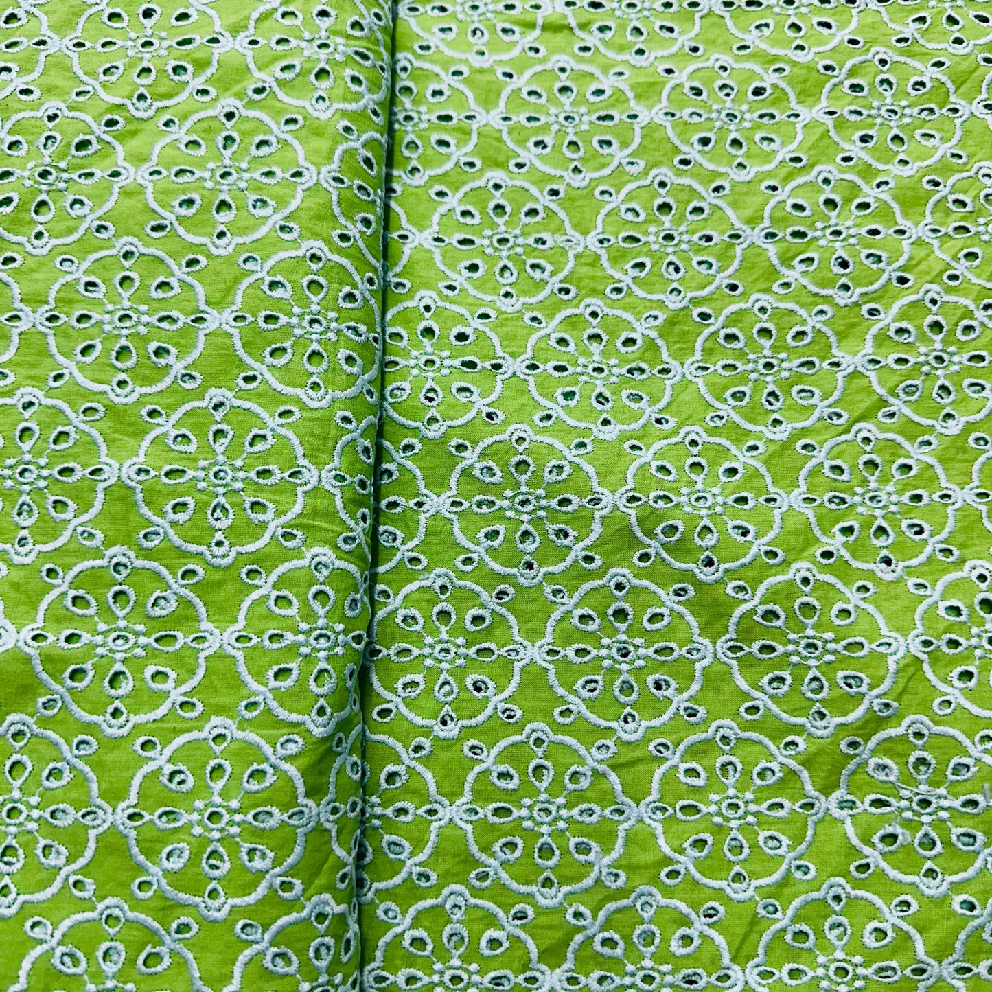 Light Green Schiffli Embroidery Cotton Fabric TU-6440