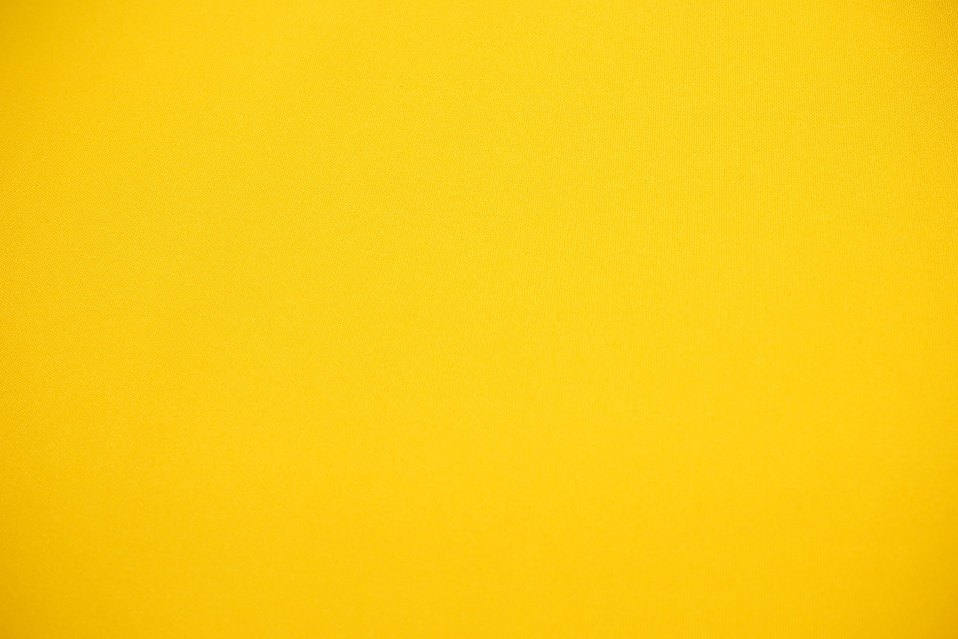 Sunflower Polyester XN3148