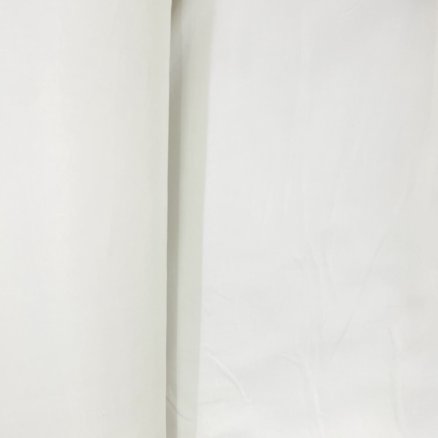 Premium White Solid Dyeable Raw Silk Fabric