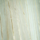 White & Gold Stripe With Lurex Sequence Embroidery Organza ASM-13145
