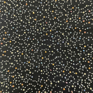 Black Multicolor Pearl Cut Dana Embroidery Power Net 15072