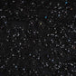 Premium Black Rice Beads CutDana Handcrafted Embroidery Net Fabric