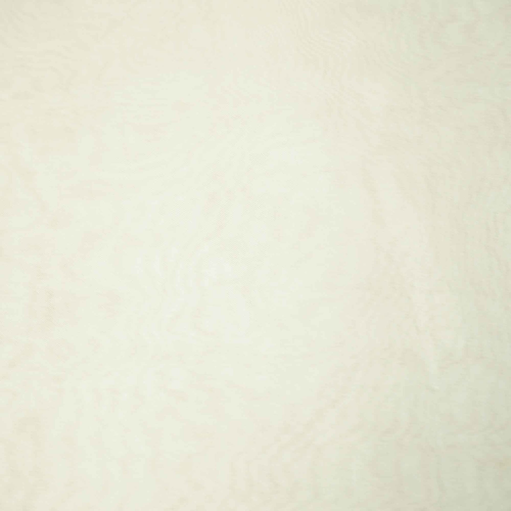 Off White (2*4) Organza Dyeable Pure Organza KRE-15486