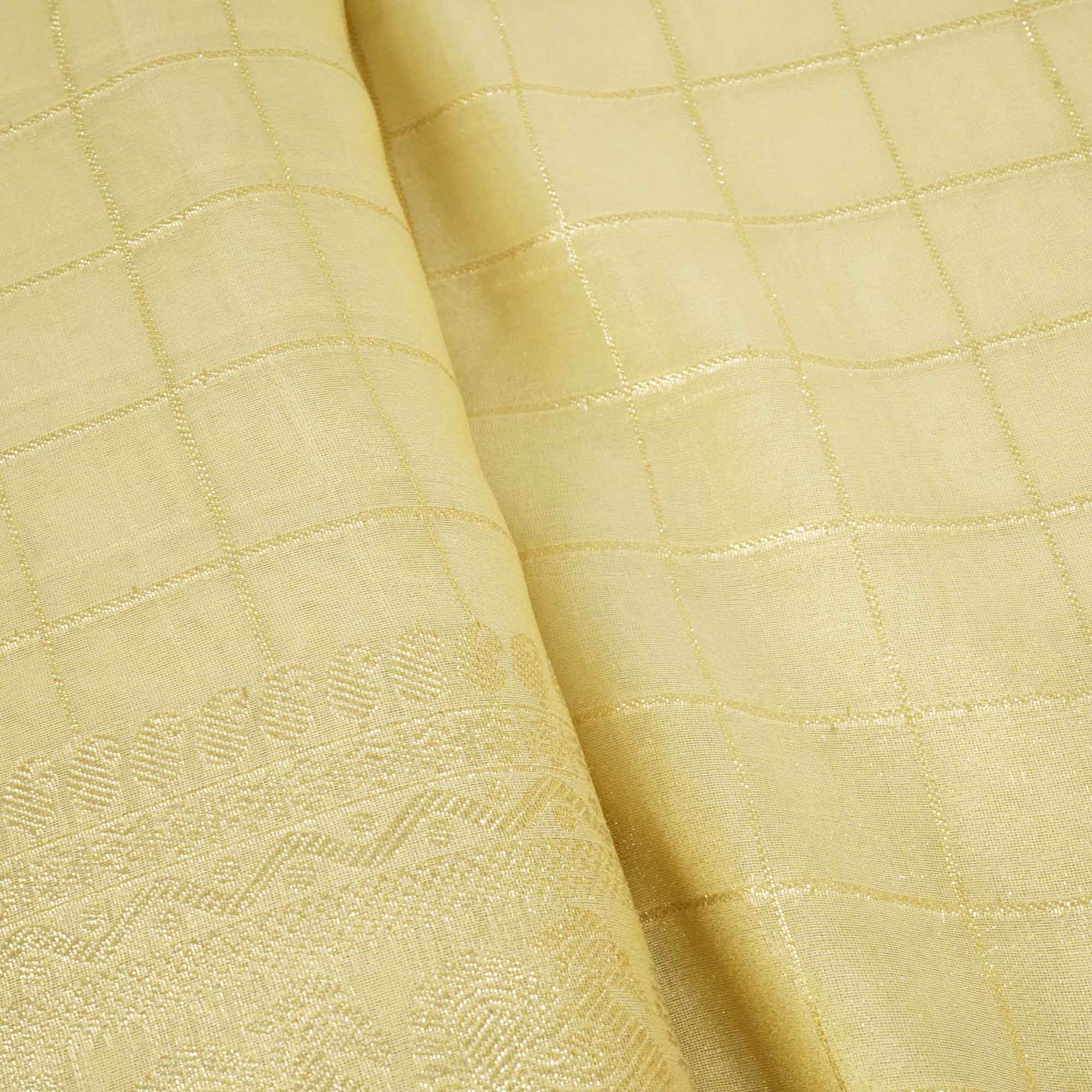 Gold Zari Check Border Work Tissue Organza DF-15706