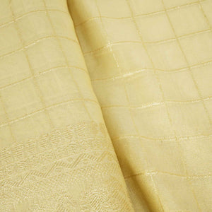 Gold Zari Check Border Work Tissue Organza DF-15706