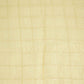 Gold Zari Check Border Work Tissue Organza DF-15706