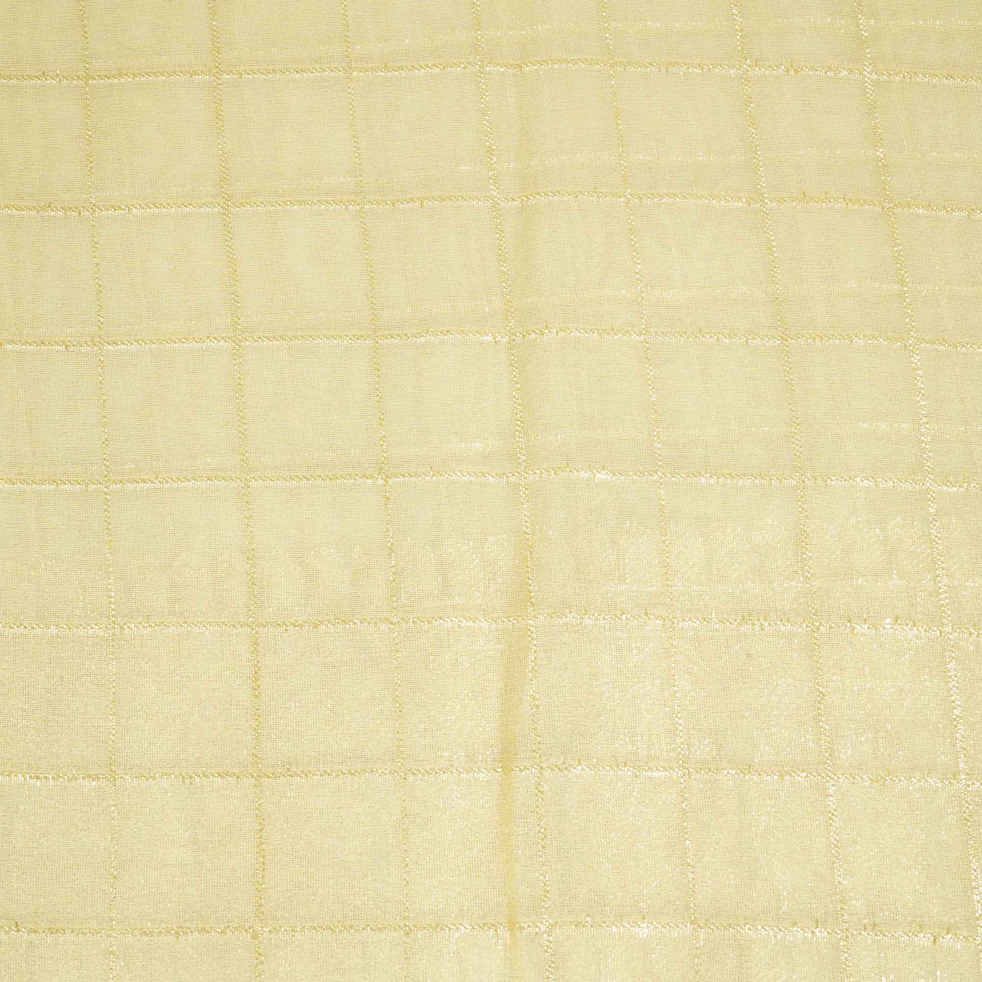 Gold Zari Check Border Work Tissue Organza DF-15706