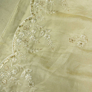 Light Gold Thread Sequins Border Embroidery Viscose Tissue DF-15890