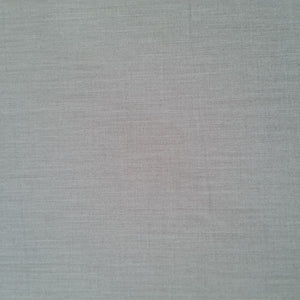 Light Grey Solid Premium Zupi Suiting Fabric 17964