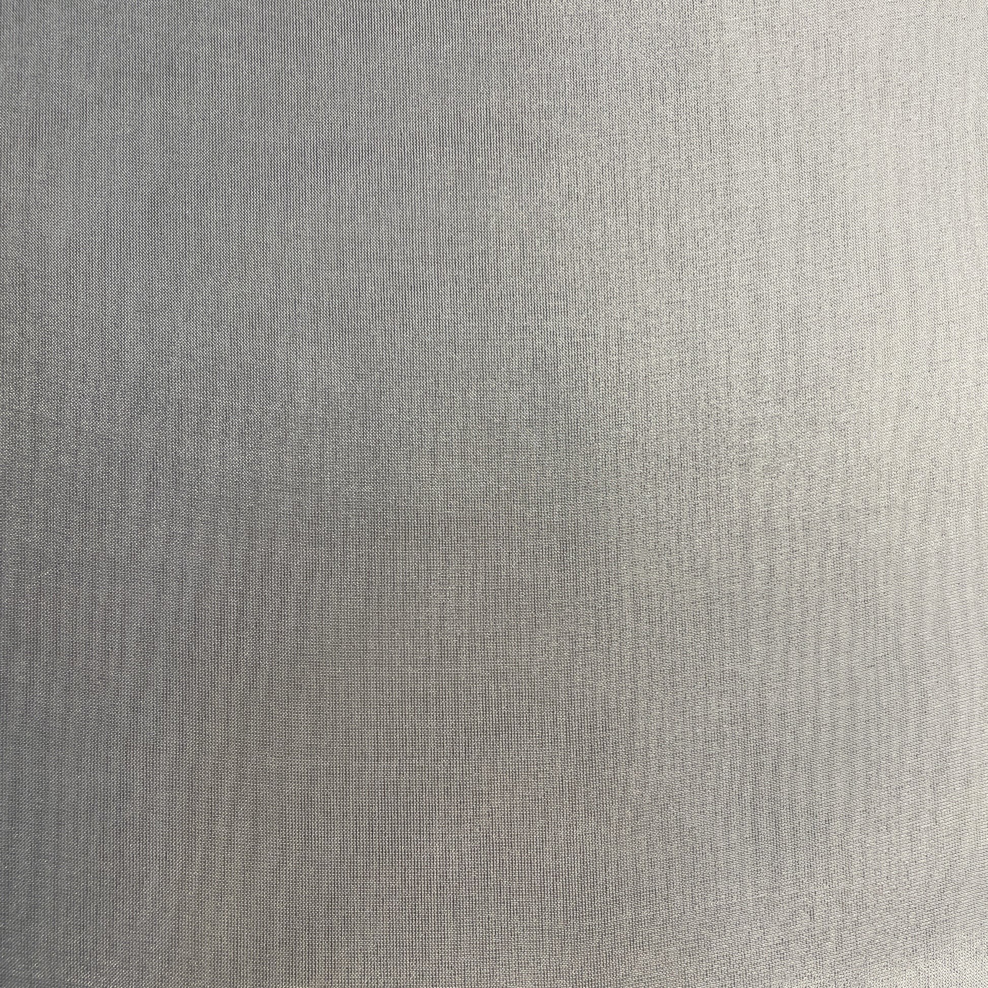 Silver Solid Tissue Jari Dyeable Fabric 19754