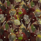 Maroon Floral Print Mirror Embroidery Organza Fabric 3001 MTF-21296