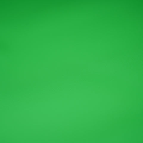 600 GSM Double Side Coated PVC Fabric PARROT GREEN