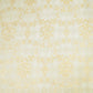 Off White & Golden Rupa Jaal Rangkat Munga Silk Tissue YF-24432