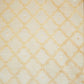Off White & Golden Rupa Jaal Rangkat Munga Silk Tissue YF-24433