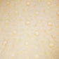 Off White & Golden Rupa Jaal Rangkat Munga Silk Tissue YF-24434