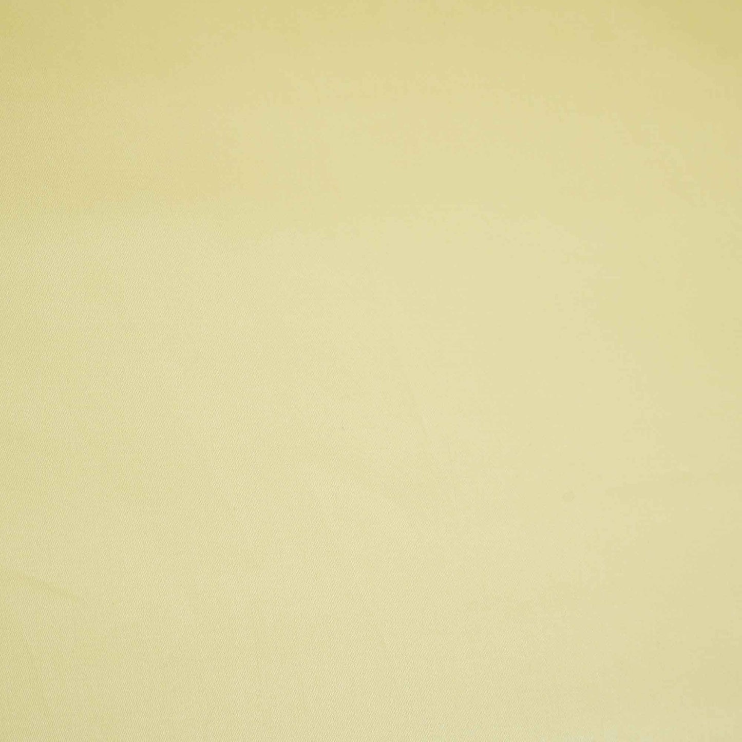 Light Yellow Solid Giza Cotton Fabric STI-24640