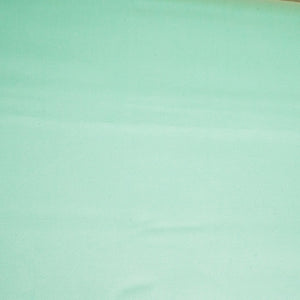 Mint Green Solid Giza Cotton Fabric STI-24641
