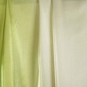 Green Organza Dupatta AK-25394 - TradeUNO